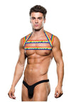 Envy Rainbow Harness - S/M Apparel for Men Envy