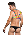 Envy Rainbow Harness - S/M Default Title Apparel for Men Envy