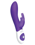 The Come Hither Rabbit Purple Rabbit Vibrators The Rabbit Company