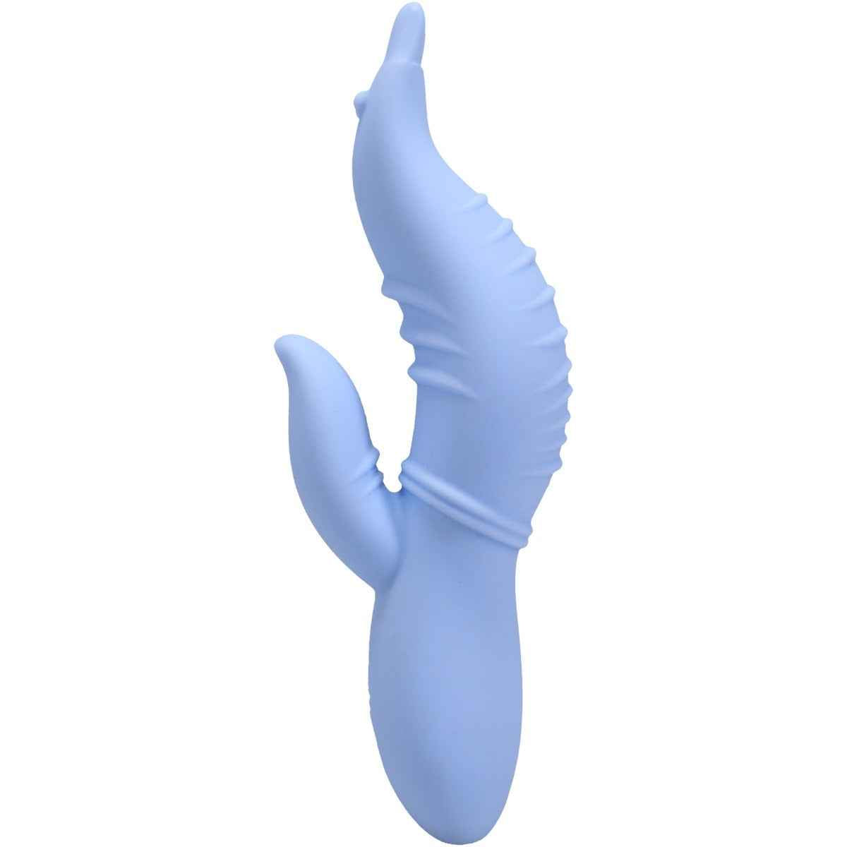Into The C - Seahorse Siren