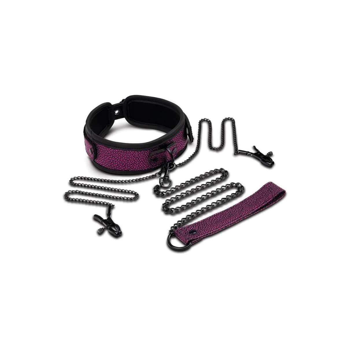 Whipsmart Dragon's Lair Collar  Leash & Nipple Clips Set - Adult Outlet