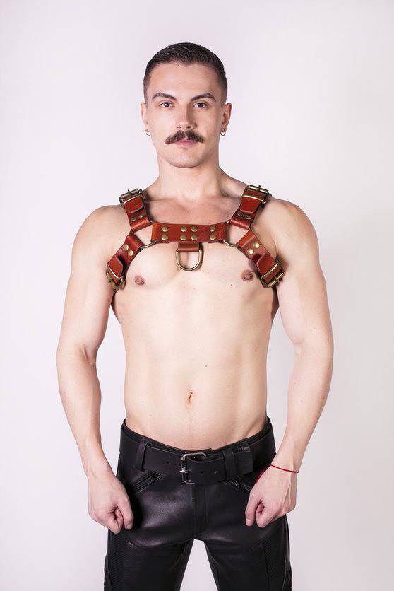 Prowler Red Butch Harness Brown Brass XL - Adult Outlet