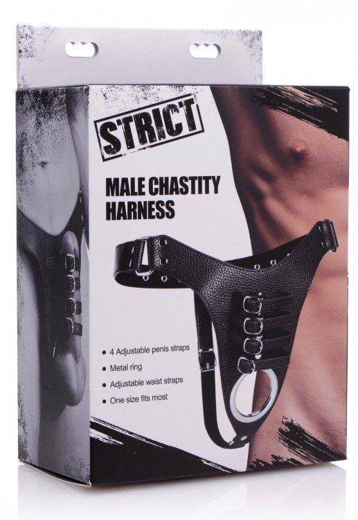 Strict Male Chasity Harness - Adult Outlet