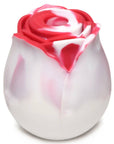 Bloomgasm The Rose Lover's Gift Box Swirl - Adult Outlet