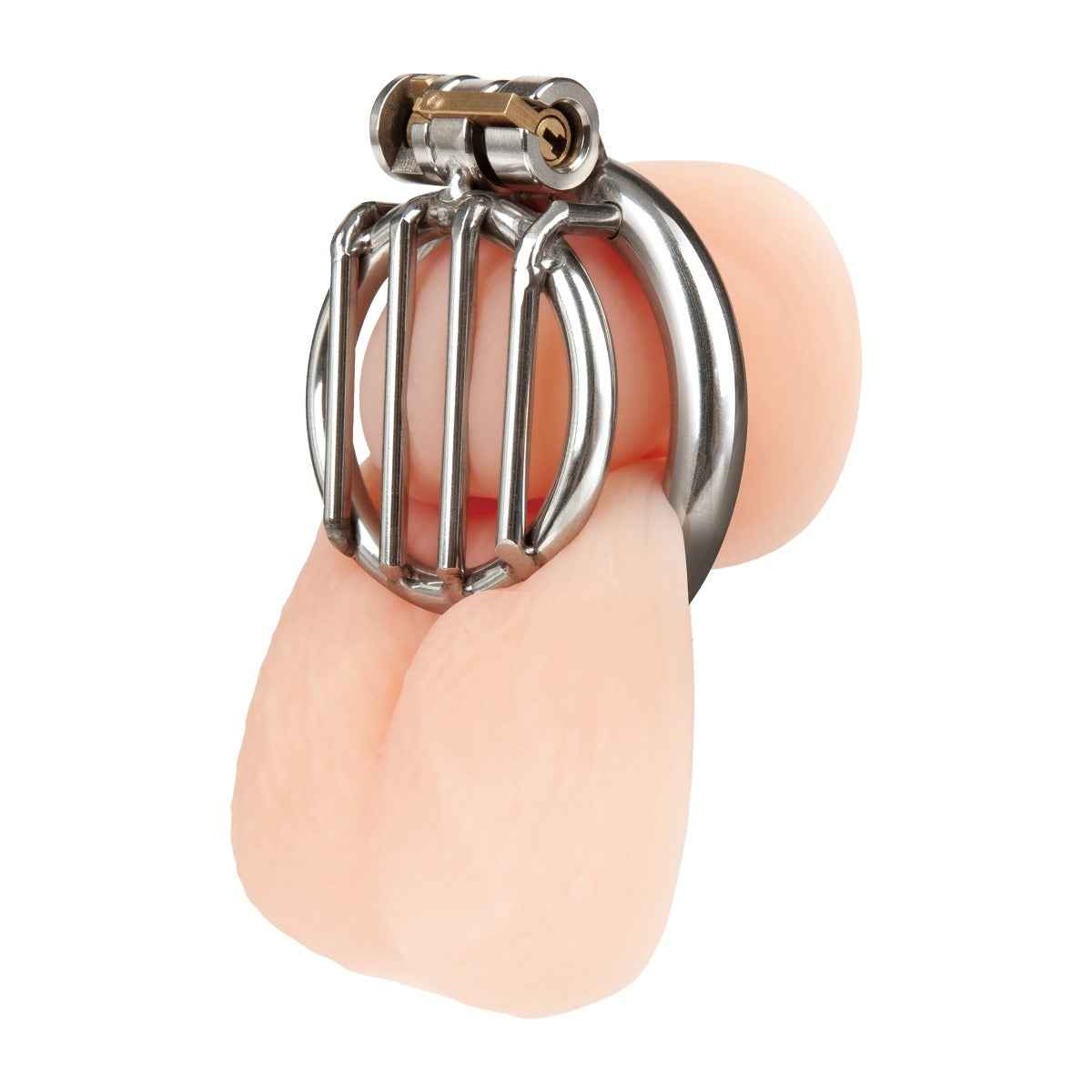 Blueline Stainless Steel Inverted Micro Jail Time Chastity Cage