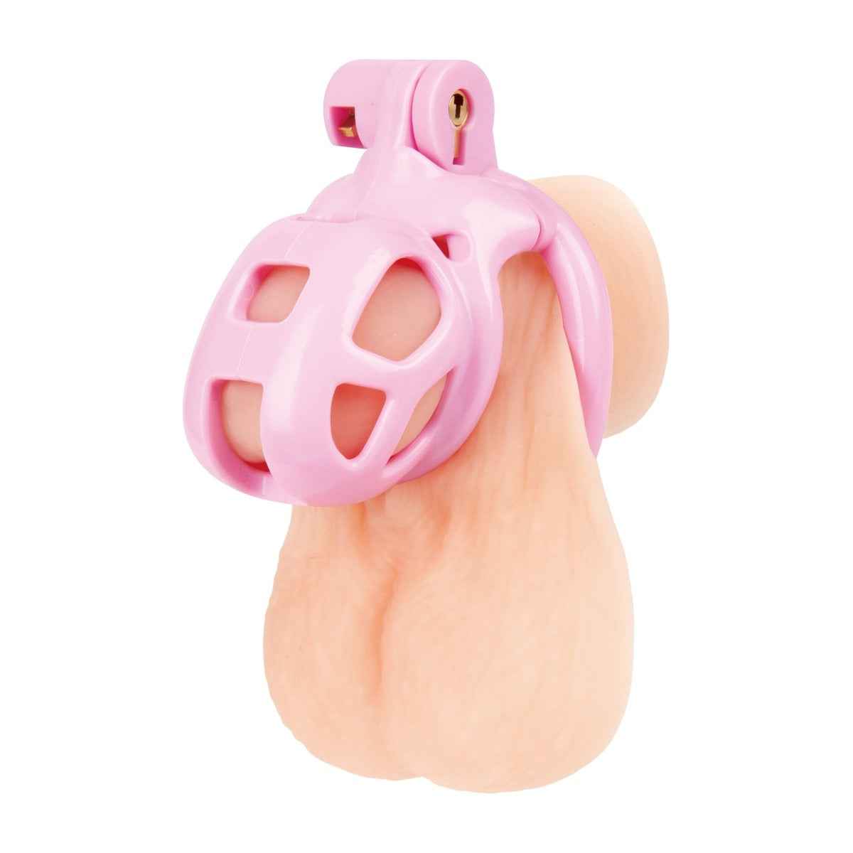 Blueline Small Pink Humiliation Acrylic Prisoner Cock Cage