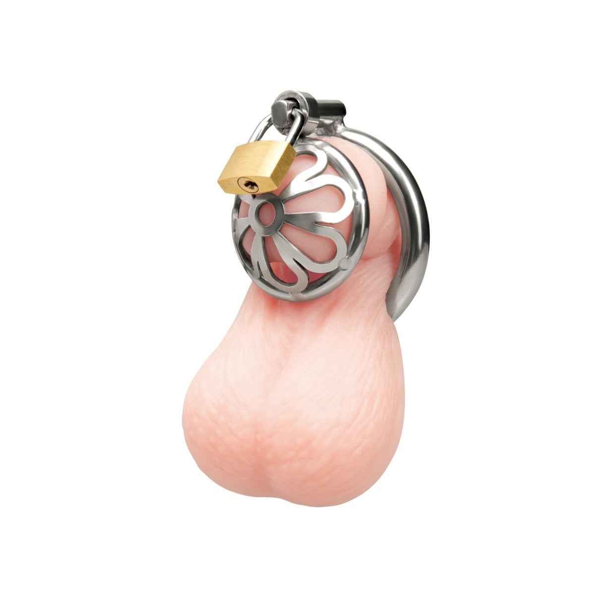 Blueline Stainless Steel Turtle Head Chastity Cage