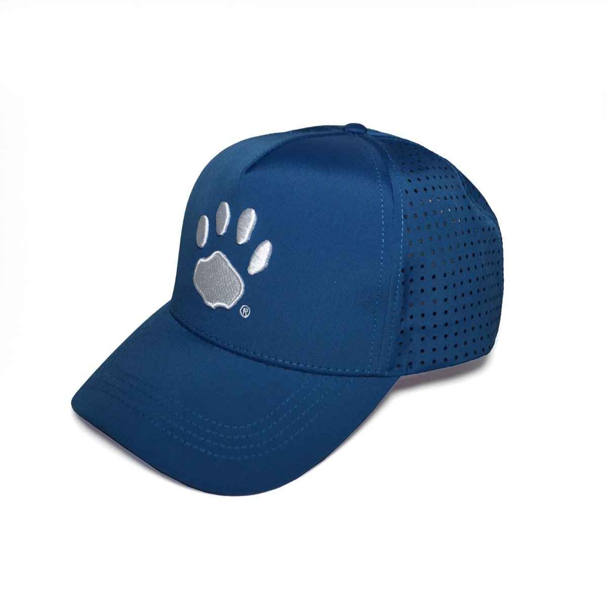 Prowler Hat - Blue