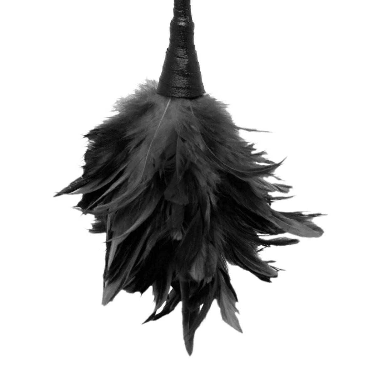 Fetish Fantasy Series Frisky Feather Duster - Black - Adult Outlet