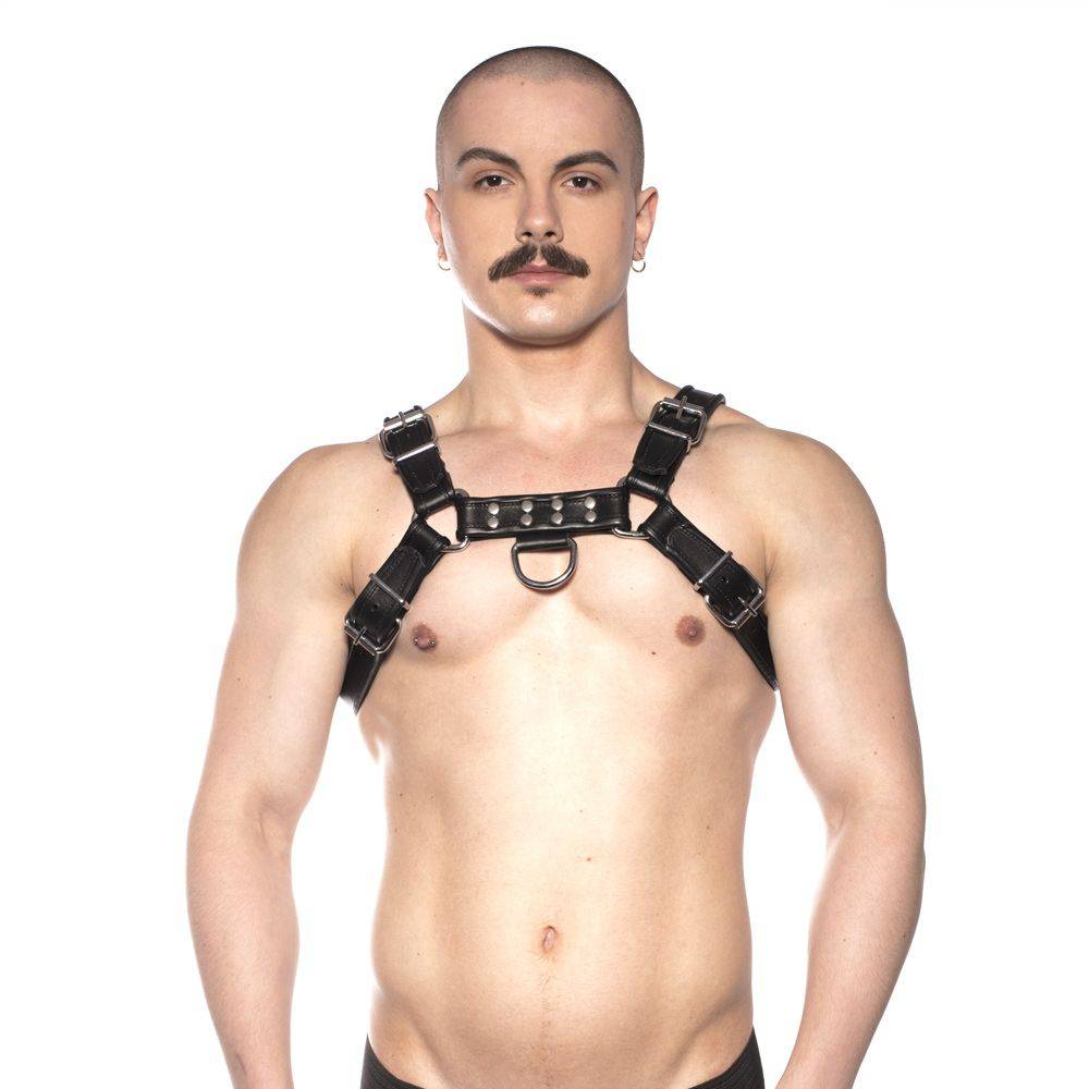 Prowler Red Bull Harness Black Medium - Adult Outlet