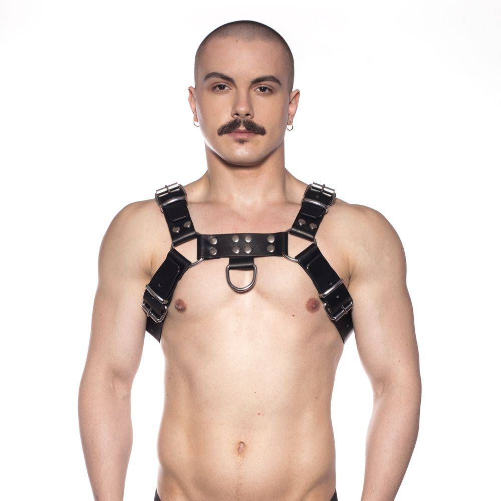 Prowler Red Butch Harness Black/Silver Medium - Adult Outlet