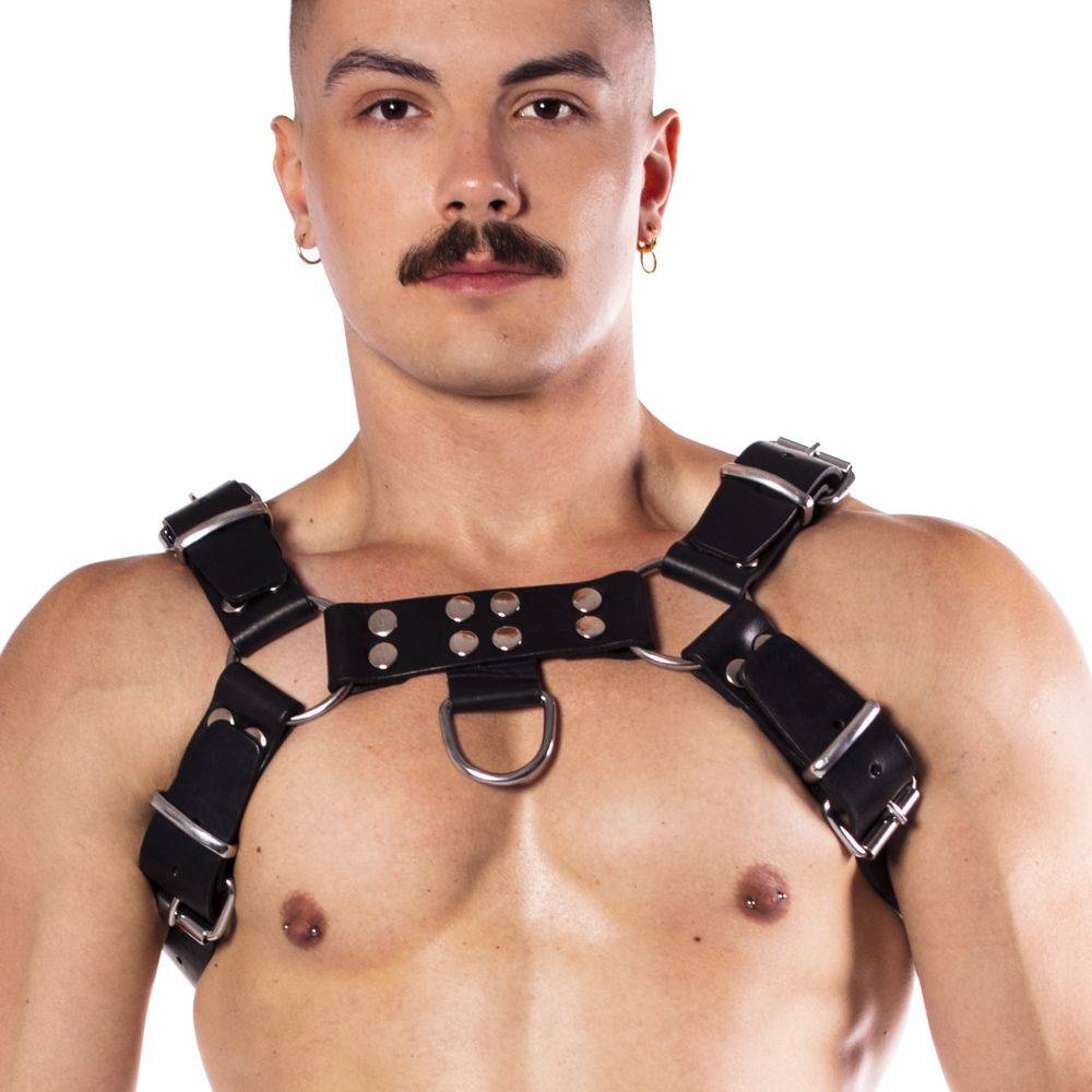 Prowler Red Butch Harness Premium Black Medium - Adult Outlet