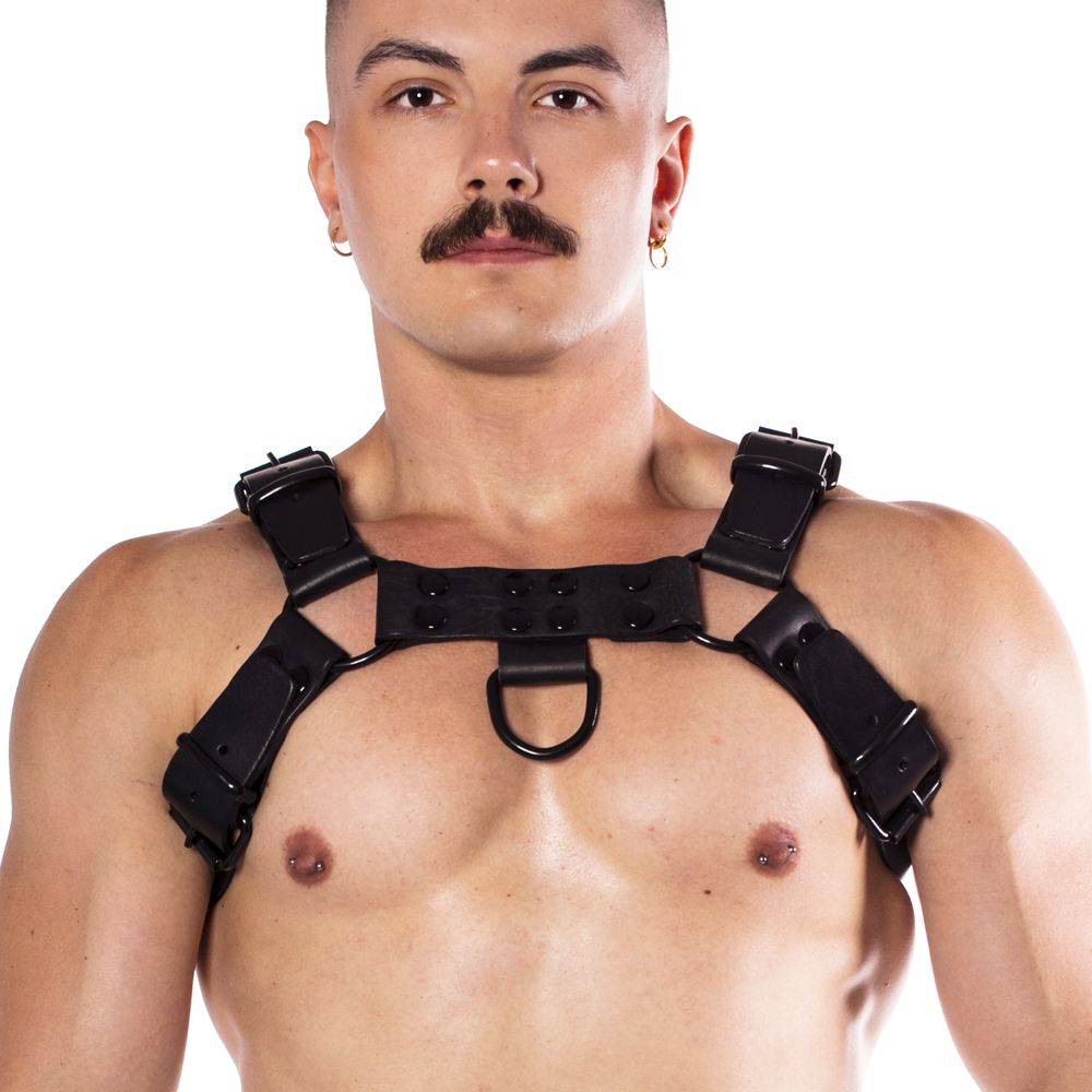 Prowler Red Noir Harness Premium Black Medium - Adult Outlet